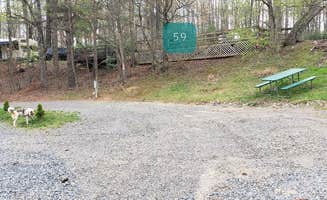 Jean C.'s photo of camping with pets at Fancy Gap-Blue Ridge Parkway KOA near Claudville, VA