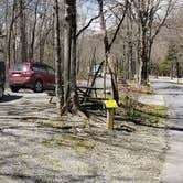 Review photo of Hickory Ridge Campground — Grayson Highlands State Park by Jean C., June 1, 2021