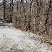 Review photo of Hickory Ridge Campground — Grayson Highlands State Park by Jean C., June 1, 2021