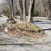 Review photo of Hickory Ridge Campground — Grayson Highlands State Park by Jean C., June 1, 2021