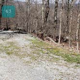 Review photo of Hickory Ridge Campground — Grayson Highlands State Park by Jean C., June 1, 2021