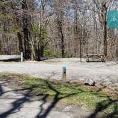 Review photo of Hickory Ridge Campground — Grayson Highlands State Park by Jean C., June 1, 2021