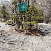 Review photo of Hickory Ridge Campground — Grayson Highlands State Park by Jean C., June 1, 2021