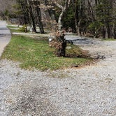 Review photo of Hickory Ridge Campground — Grayson Highlands State Park by Jean C., June 1, 2021