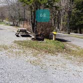 Review photo of Hickory Ridge Campground — Grayson Highlands State Park by Jean C., June 1, 2021