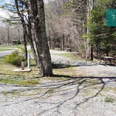 Review photo of Hickory Ridge Campground — Grayson Highlands State Park by Jean C., June 1, 2021