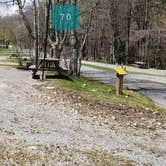 Review photo of Hickory Ridge Campground — Grayson Highlands State Park by Jean C., June 1, 2021