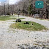 Review photo of Hickory Ridge Campground — Grayson Highlands State Park by Jean C., June 1, 2021