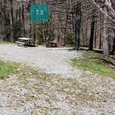 Review photo of Hickory Ridge Campground — Grayson Highlands State Park by Jean C., June 1, 2021