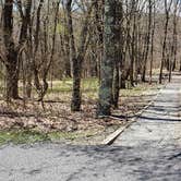 Review photo of Hickory Ridge Campground — Grayson Highlands State Park by Jean C., June 1, 2021