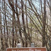 Review photo of Hickory Ridge Campground — Grayson Highlands State Park by Jean C., June 1, 2021