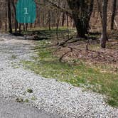 Review photo of Hickory Ridge Campground — Grayson Highlands State Park by Jean C., June 1, 2021