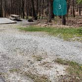 Review photo of Hickory Ridge Campground — Grayson Highlands State Park by Jean C., June 1, 2021