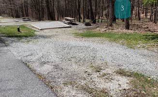 Jean C.'s photo of glamping accommodations at Hickory Ridge Campground — Grayson Highlands State Park in Virginia