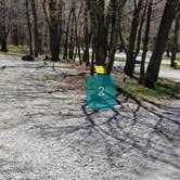 Review photo of Hickory Ridge Campground — Grayson Highlands State Park by Jean C., June 1, 2021