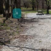 Review photo of Hickory Ridge Campground — Grayson Highlands State Park by Jean C., June 1, 2021