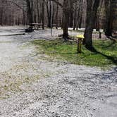 Review photo of Hickory Ridge Campground — Grayson Highlands State Park by Jean C., June 1, 2021