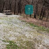 Review photo of Hickory Ridge Campground — Grayson Highlands State Park by Jean C., June 1, 2021