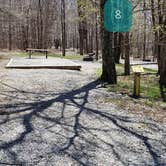 Review photo of Hickory Ridge Campground — Grayson Highlands State Park by Jean C., June 1, 2021