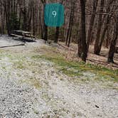 Review photo of Hickory Ridge Campground — Grayson Highlands State Park by Jean C., June 1, 2021