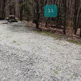 Review photo of Hickory Ridge Campground — Grayson Highlands State Park by Jean C., June 1, 2021