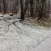 Review photo of Hickory Ridge Campground — Grayson Highlands State Park by Jean C., June 1, 2021