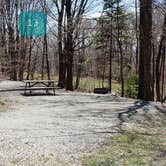 Review photo of Hickory Ridge Campground — Grayson Highlands State Park by Jean C., June 1, 2021