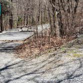 Review photo of Hickory Ridge Campground — Grayson Highlands State Park by Jean C., June 1, 2021