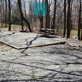 Review photo of Hickory Ridge Campground — Grayson Highlands State Park by Jean C., June 1, 2021