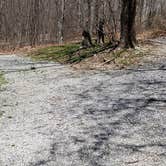 Review photo of Hickory Ridge Campground — Grayson Highlands State Park by Jean C., June 1, 2021