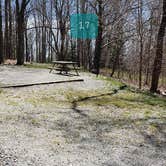 Review photo of Hickory Ridge Campground — Grayson Highlands State Park by Jean C., June 1, 2021