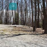 Review photo of Hickory Ridge Campground — Grayson Highlands State Park by Jean C., June 1, 2021