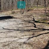 Review photo of Hickory Ridge Campground — Grayson Highlands State Park by Jean C., June 1, 2021