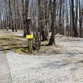 Review photo of Hickory Ridge Campground — Grayson Highlands State Park by Jean C., June 1, 2021