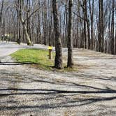 Review photo of Hickory Ridge Campground — Grayson Highlands State Park by Jean C., June 1, 2021