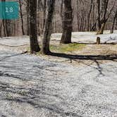 Review photo of Hickory Ridge Campground — Grayson Highlands State Park by Jean C., June 1, 2021