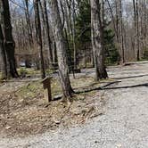 Review photo of Hickory Ridge Campground — Grayson Highlands State Park by Jean C., June 1, 2021