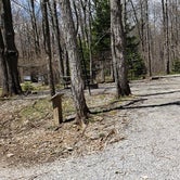 Review photo of Hickory Ridge Campground — Grayson Highlands State Park by Jean C., June 1, 2021