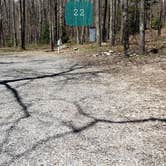 Review photo of Hickory Ridge Campground — Grayson Highlands State Park by Jean C., June 1, 2021