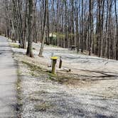 Review photo of Hickory Ridge Campground — Grayson Highlands State Park by Jean C., June 1, 2021