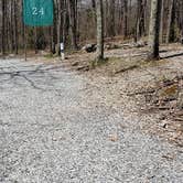 Review photo of Hickory Ridge Campground — Grayson Highlands State Park by Jean C., June 1, 2021