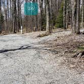 Review photo of Hickory Ridge Campground — Grayson Highlands State Park by Jean C., June 1, 2021