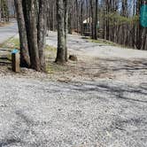 Review photo of Hickory Ridge Campground — Grayson Highlands State Park by Jean C., June 1, 2021