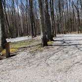 Review photo of Hickory Ridge Campground — Grayson Highlands State Park by Jean C., June 1, 2021