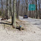 Review photo of Hickory Ridge Campground — Grayson Highlands State Park by Jean C., June 1, 2021