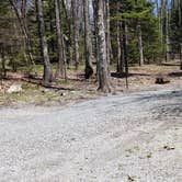 Review photo of Hickory Ridge Campground — Grayson Highlands State Park by Jean C., June 1, 2021