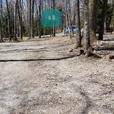 Review photo of Hickory Ridge Campground — Grayson Highlands State Park by Jean C., June 1, 2021