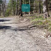 Review photo of Hickory Ridge Campground — Grayson Highlands State Park by Jean C., June 1, 2021