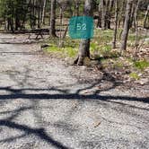 Review photo of Hickory Ridge Campground — Grayson Highlands State Park by Jean C., June 1, 2021