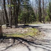 Review photo of Hickory Ridge Campground — Grayson Highlands State Park by Jean C., June 1, 2021